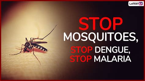 Beware the deadly mosquitoes .